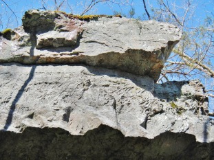 Deformation bands in massive sandstone near Middle Fork north of Shirley
